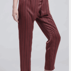 Person wearing Blue Striped Burgundy Work Pants with a matching belt and black slip-on loafers, shown from shoulders to feet against a plain background.